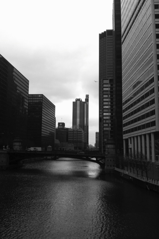 Chicago River View