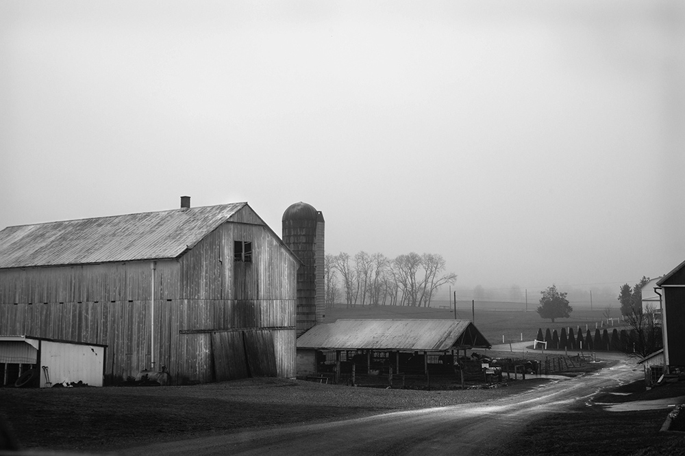 Amish Farm #39