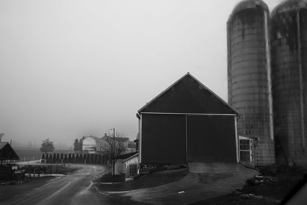 Amish Farm #40