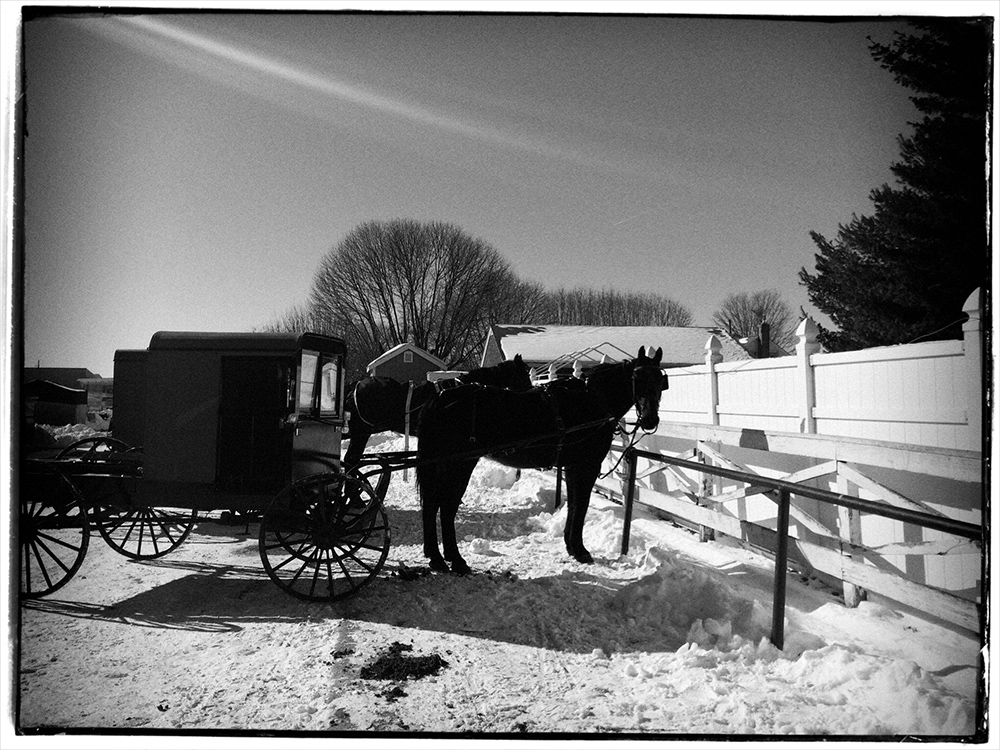 Amish Ride #82