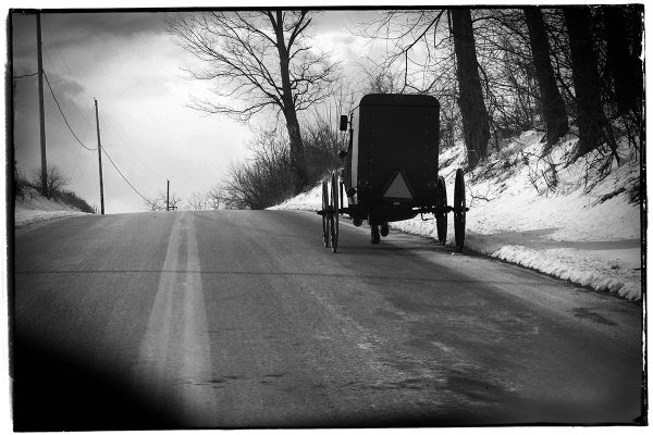 rural-scape-Buggy