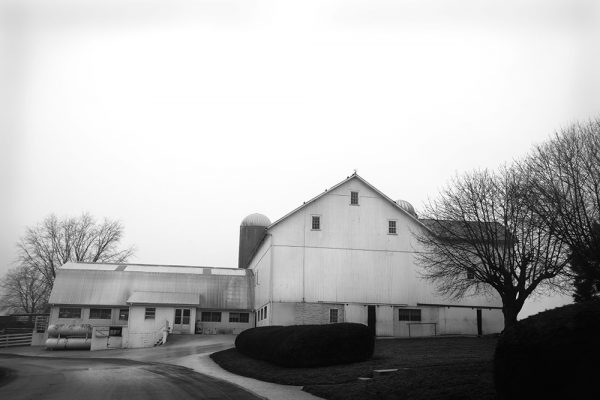 rural-scape-Amish-Farm-42