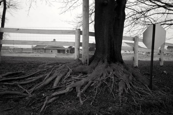 rural-scape-Roots-of-Education