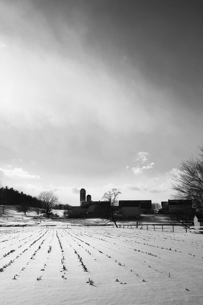 rural-scape-Snow-Furrows